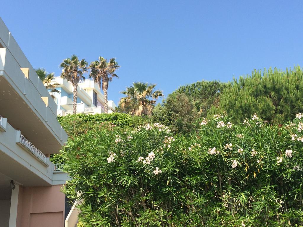 Residence Azzurro Massignano Rom bilde